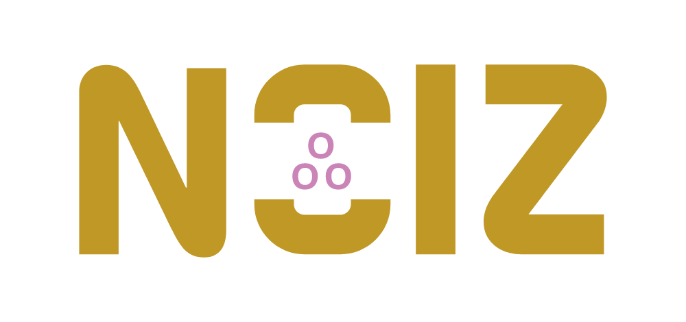 Popkoor Noiz